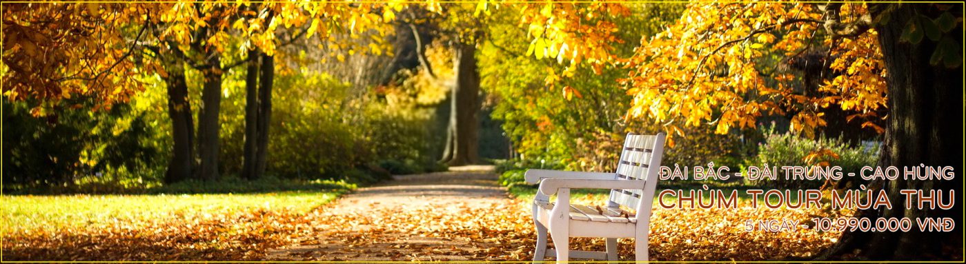 CÔNG TY TNHH HÀNH TRÌNH HAY TRAVEL