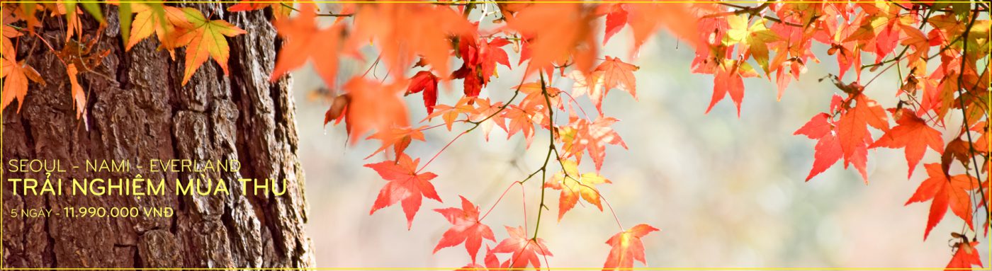 CÔNG TY TNHH HÀNH TRÌNH HAY TRAVEL