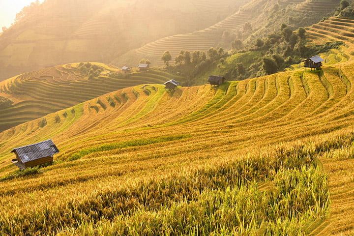 CÔNG TY TNHH HÀNH TRÌNH HAY TRAVEL