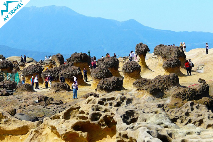 CÔNG TY TNHH HÀNH TRÌNH HAY TRAVEL