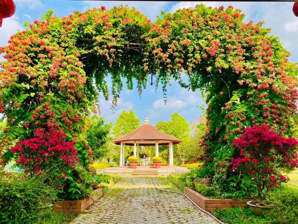 CÔNG TY TNHH HÀNH TRÌNH HAY TRAVEL