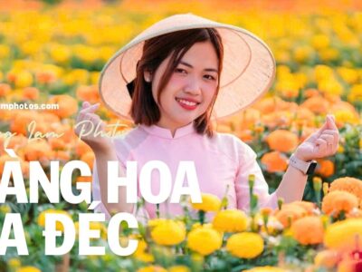 LÀNG HOA SA ĐÉC - VƯỜN HỒNG TƯ TÔN - VƯỜN QUÝT HỒNG 1 NGÀY