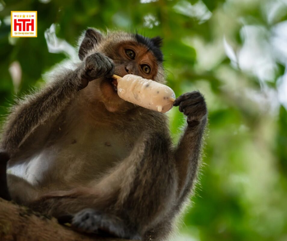 CÔNG TY TNHH HÀNH TRÌNH HAY TRAVEL