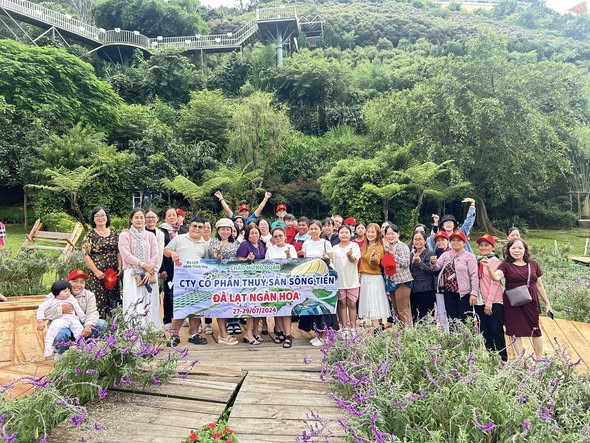 CÔNG TY TNHH HÀNH TRÌNH HAY TRAVEL