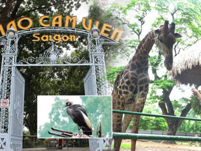 ( C12 ) 3. BẾN NHÀ RỒNG – THẢO CẦM VIÊN – ĐẦM SEN NƯỚC – SIÊU THỊ NHẬT BẢN AEON  